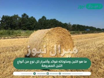 ما هو التبن ومكوناته فوائد وأضرار كل نوع من أنواع التبن المعروفة