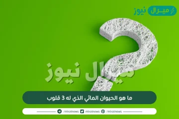 ما هو الحيوان المائي الذي له 3 قلوب