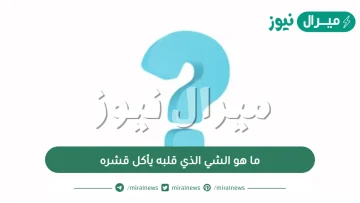 ما هو الشي الذي قلبه يأكل قشره