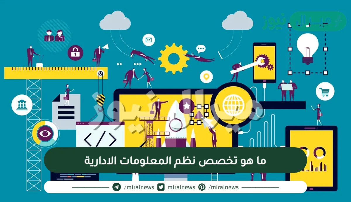 ما هو تخصص نظم المعلومات الادارية