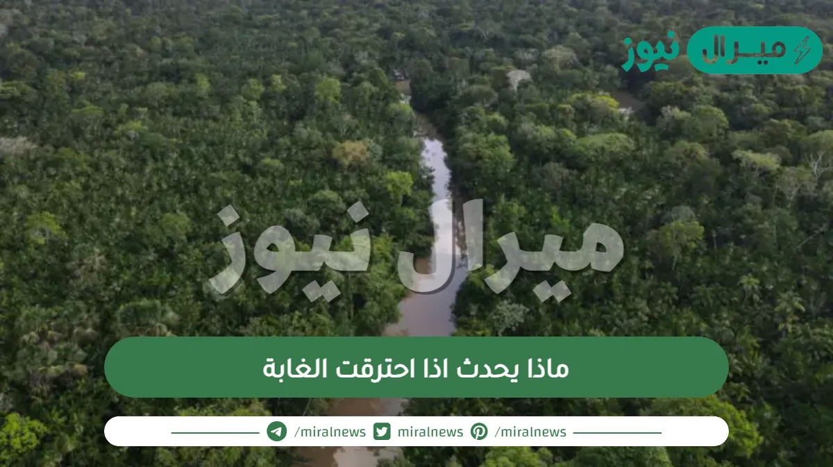 ماذا يحدث اذا احترقت الغابة