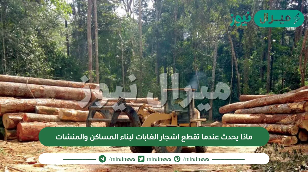 ماذا يحدث عندما تقطع اشجار الغابات لبناء المساكن والمنشات