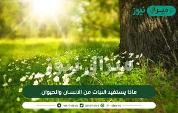 ماذا يستفيد النبات من الانسان والحيوان