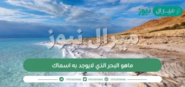 ماهو البحر الذي لايوجد به اسماك