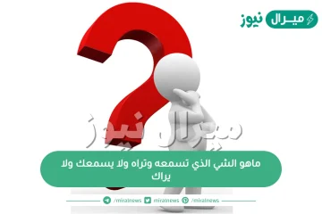 ماهو الشي الذي تسمعه وتراه ولا يسمعك ولا يراك