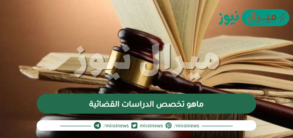 ماهو تخصص الدراسات القضائية والوظائف لخريجي هذا التخصص