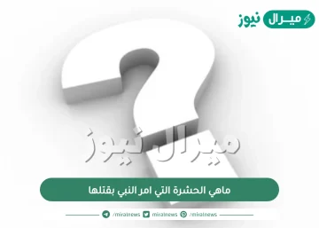 ماهي الحشرة التي امر النبي بقتلها