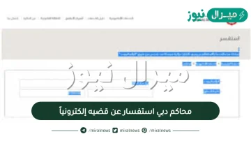 محاكم دبي استفسار عن قضيه إلكترونياً