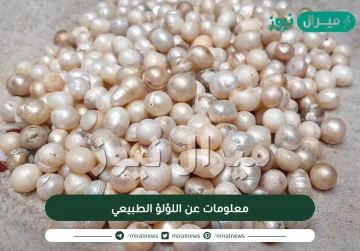 معلومات عن اللؤلؤ الطبيعي