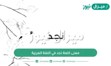 معنى كلمة نجد في اللغة العربية