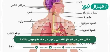 مقال علمي عن الجهاز التنفسي يتكون من مقدمة وعرض وخاتمة