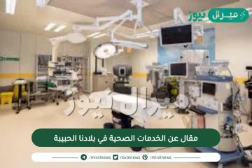 مقال عن الخدمات الصحية في بلادنا الحبيبة