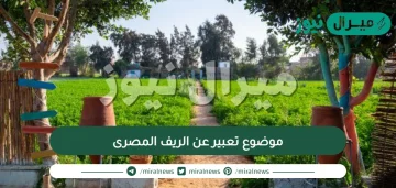 موضوع تعبير عن الريف المصرى