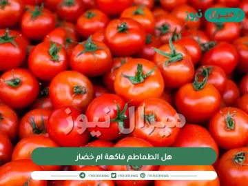 هل الطماطم فاكهة ام خضار