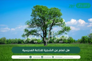 هل تعلم عن الشجرة للاذاعة المدرسية