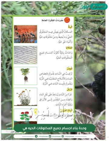 وحدة بناء اجسام جميع المخلوقات الحيه هي