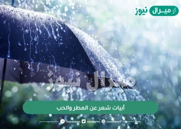 أبيات شعر عن المطر والحب