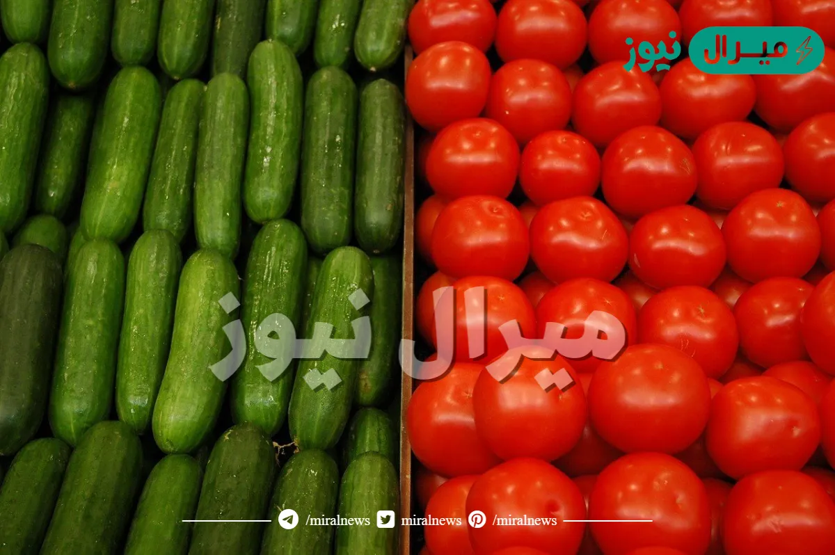 “اتحداكي تعرفي السر ده”.. أحذر من وضع الطماطم والخيار في الثلاجة لهذا السبب الخطير