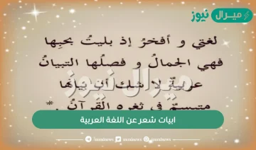 ابيات شعر عن اللغة العربية