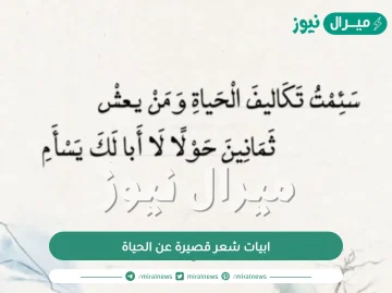 ابيات شعر قصيرة عن الحياة