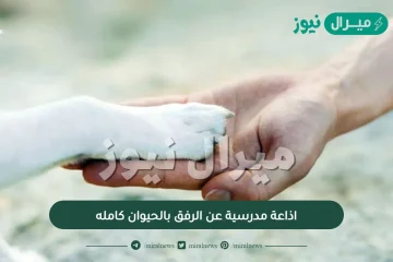 اذاعة مدرسية عن الرفق بالحيوان كامله