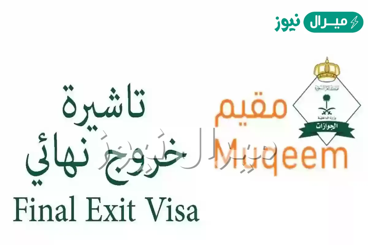 استعلام عن خروج نهائي برقم الجواز