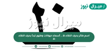 اسم طائر بحرف الظاء ظ .. أسماء حيوانات وطيور تبدأ بحرف الظاء ظ