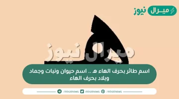 اسم طائر بحرف الهاء هـ .. اسم حيوان ونبات وجماد وبلاد بحرف الهاء