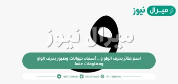 اسم طائر بحرف الواو و .. أسماء حيوانات وطيور بحرف الواو ومعلومات عنها