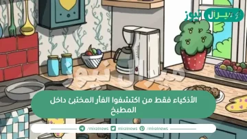 الأذكياء فقط من اكتشفوا الفأر المختبئ داخل المطبخ في 15 ثانية| هل أنت منهم؟