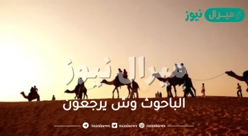 الباحوث وش يرجعون