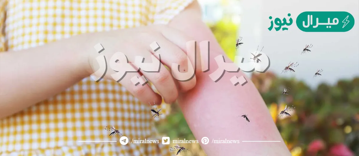 فعال 100%.. الحل النهائي للتخلص من الناموس والهاموش وجميع الحشرات بدون مواد كيميائية