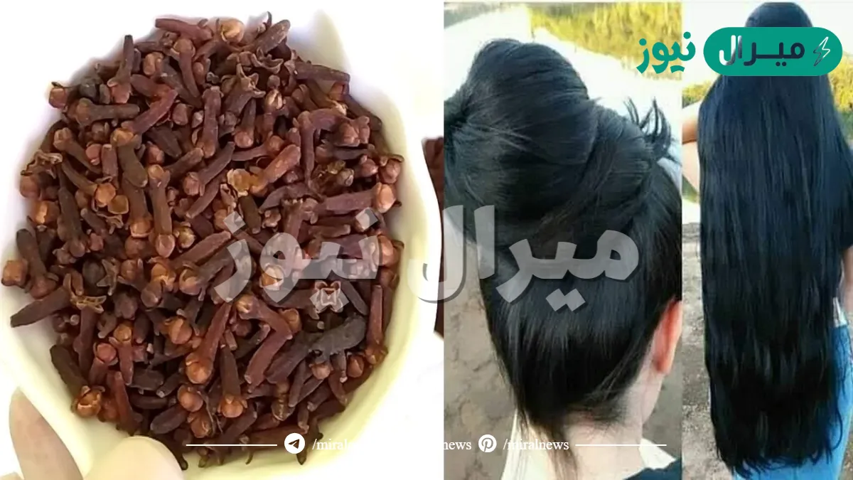 سحر مفعول ملعقة القرنفل لعلاج القشرة وتساقط الشعر والتخلص من الشيب المبكر بدون رجوع مرة اخري