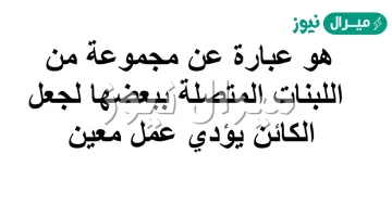 المقطع البرمجي عبارة عن مجموعة من اللبنات المتصلة