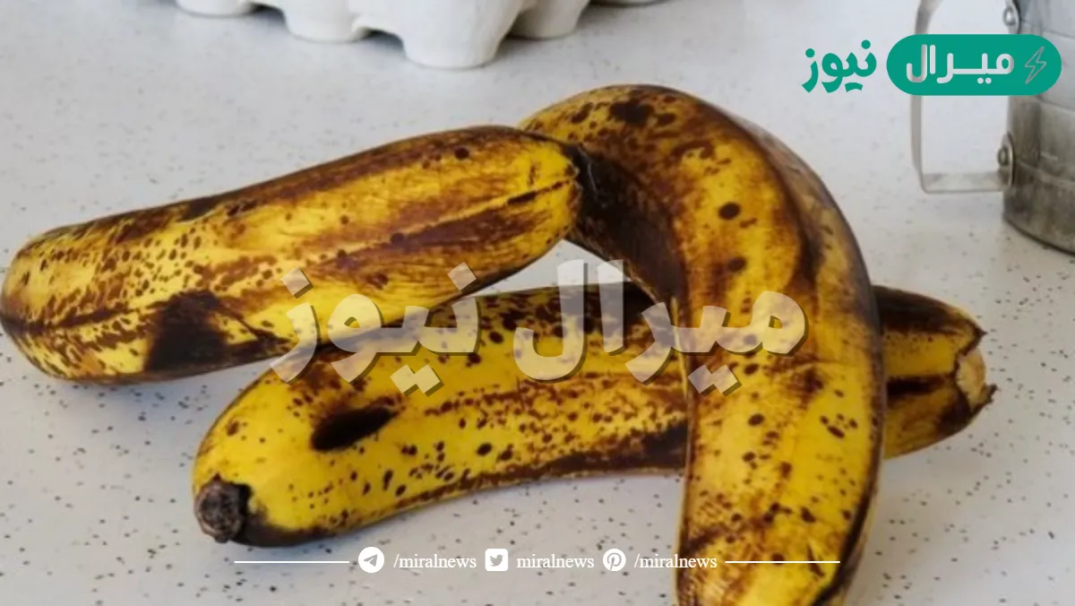 الموز الأسود يحارب السرطان والاكتئاب ويقوي الذاكرة.. أشهر فوائد الموز الأسود