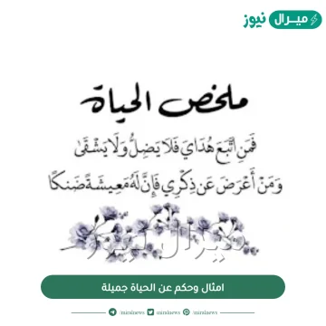 امثال وحكم عن الحياة جميلة