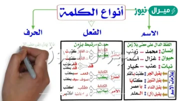 انواع الكلمة في اللغة العربية