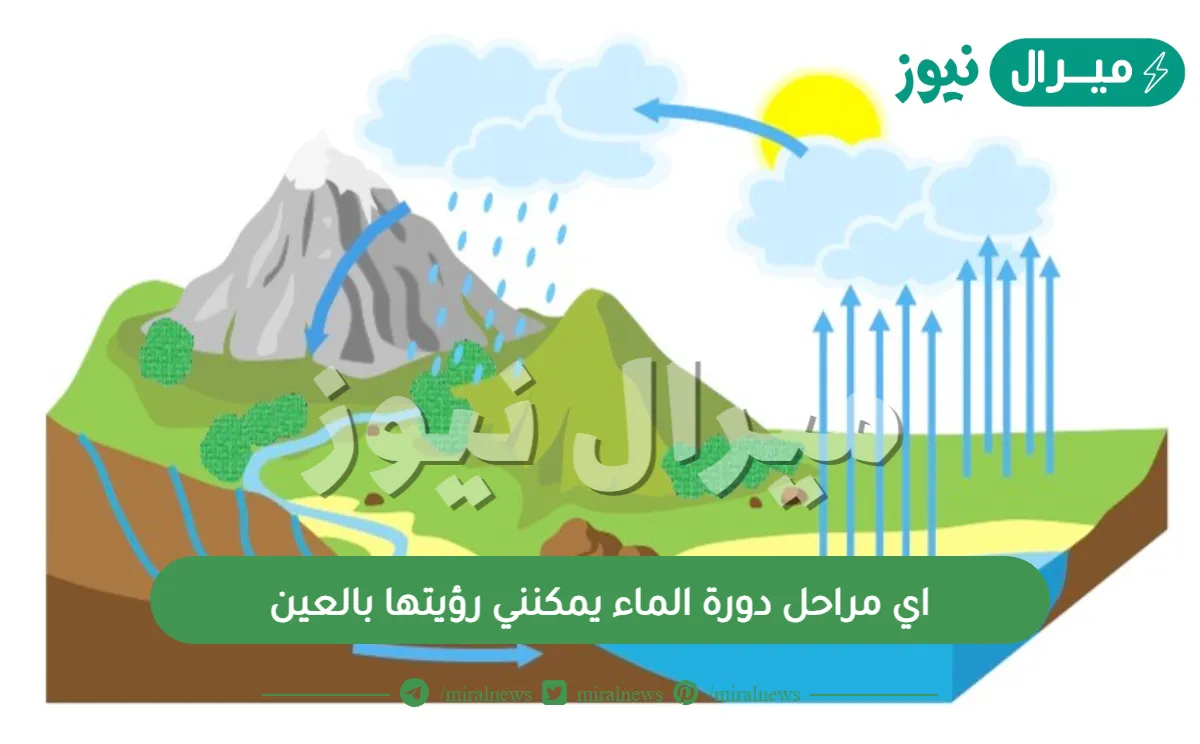 اي مراحل دورة الماء يمكنني رؤيتها بالعين