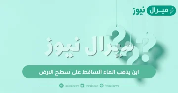 اين يذهب الماء الساقط على سطح الارض