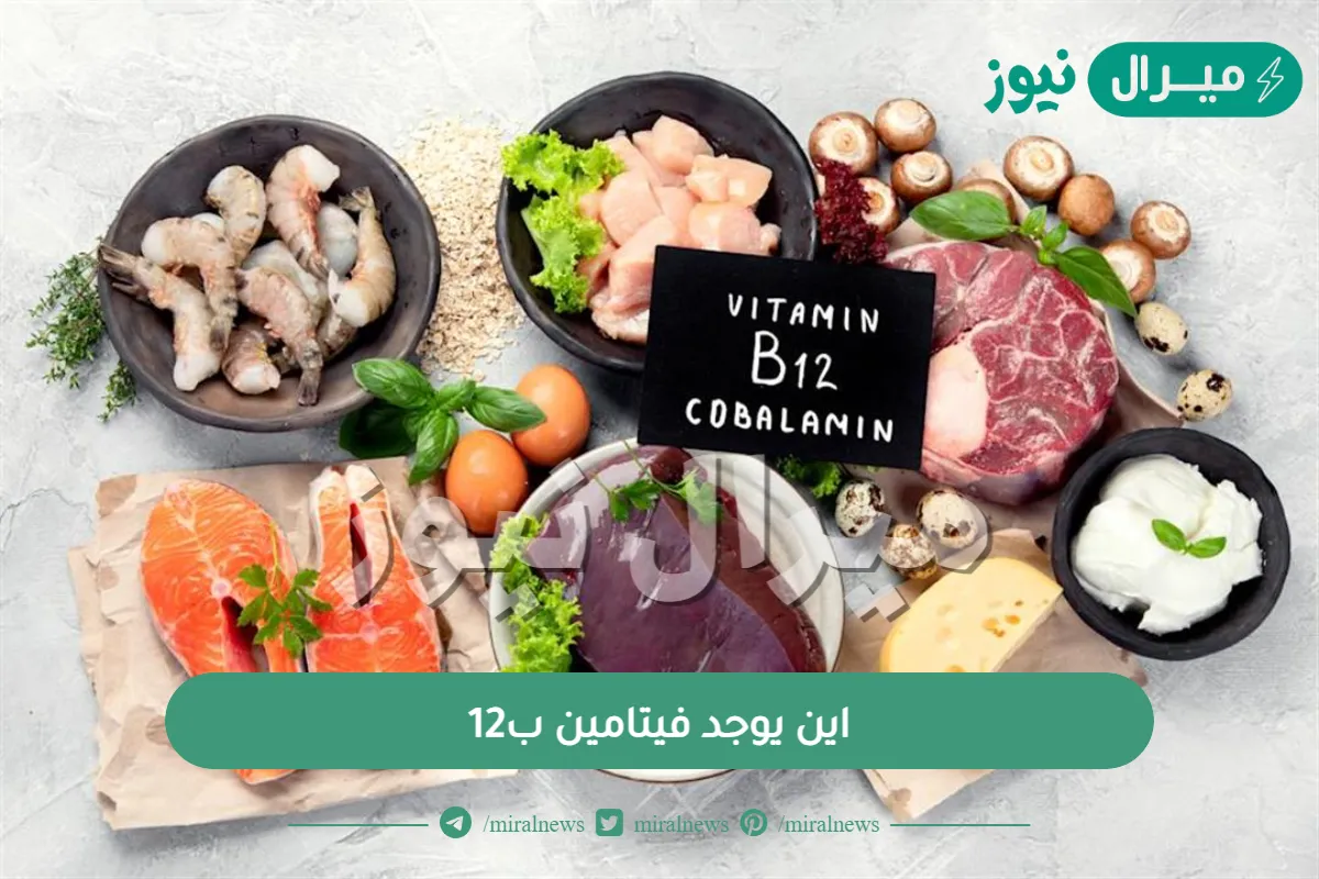 اين يوجد فيتامين ب12