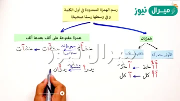 بحث عن الهمزة في اول الكلمة ووسطها واخرها