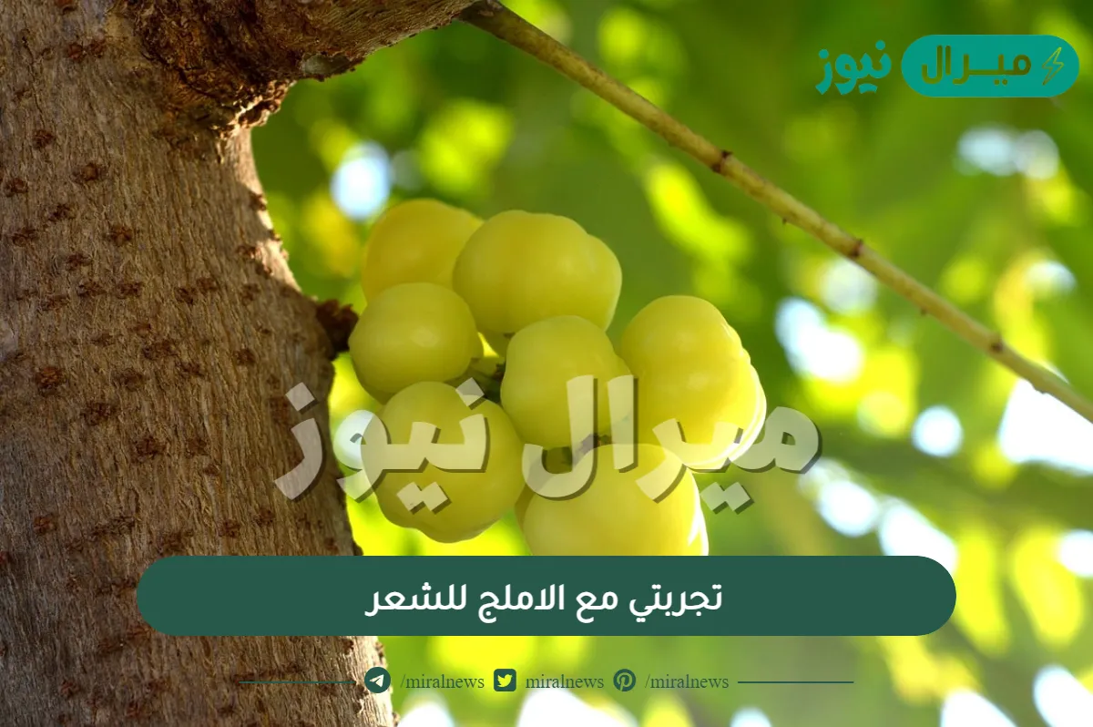  تجربتي مع الاملج للشعر | طرق استخدام الاملج لعلاج مشاكل الشعر