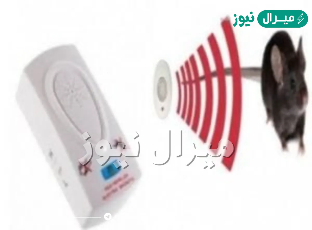 تجربتي مع جهاز طارد الفئران