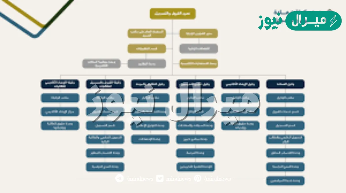 تخصصات جامعة الامام محمد بن سعود الاسلامية