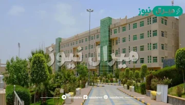 تخصصات جامعة الملك خالد في السعودية