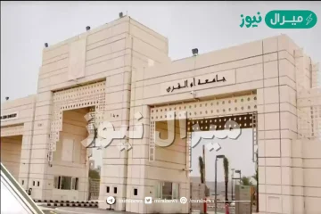 تخصصات جامعة ام القرى