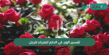 تفسير الورد في الحلم للعزباء وللرجل