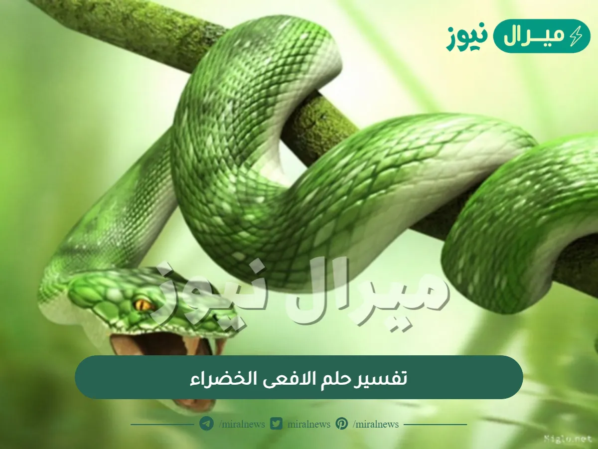 تفسير حلم الافعى الخضراء