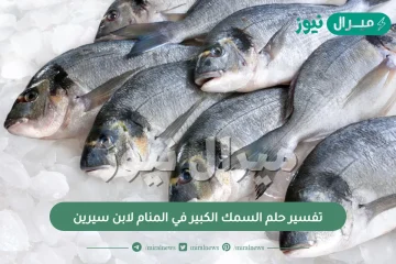 تفسير حلم السمك الكبير في المنام لابن سيرين