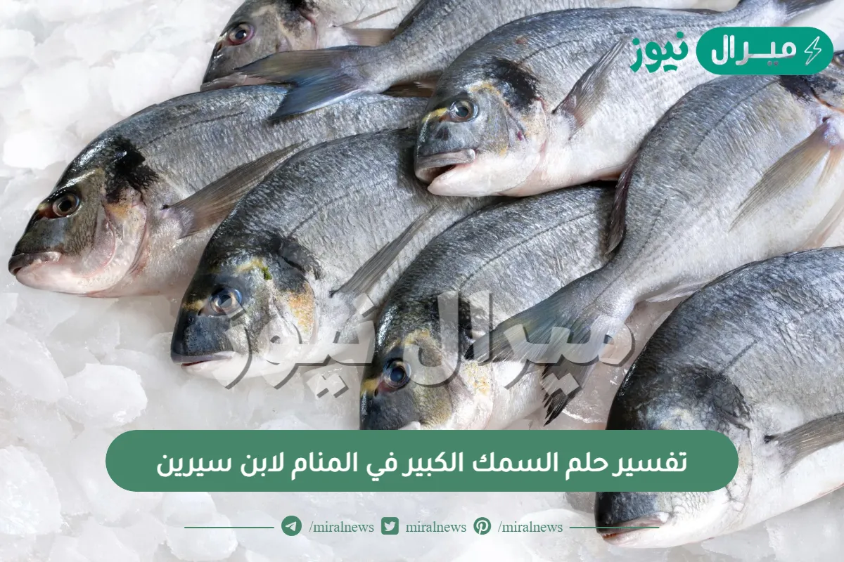 تفسير حلم السمك الكبير في المنام لابن سيرين